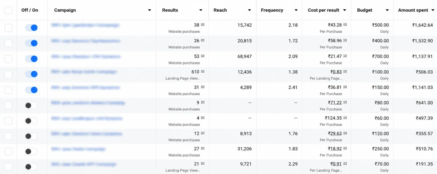 Meta Ads Campaign Purchase Results Case Study by LeadScale Media